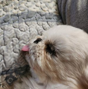 Meet your Posher, Angela